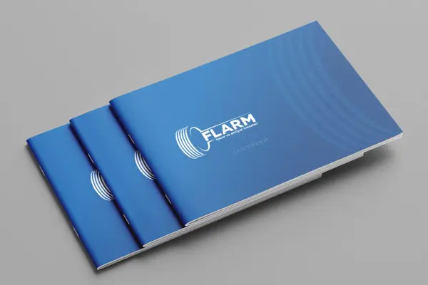 Брендбук для компании FLARM