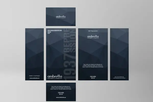 Современный и эстетичный дизайн упаковки для компании Ambretta